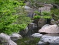 /album/zahrady/japanesegarden1-jpg/