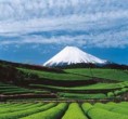 /album/hora-fuji/fuji-img1-jpg/